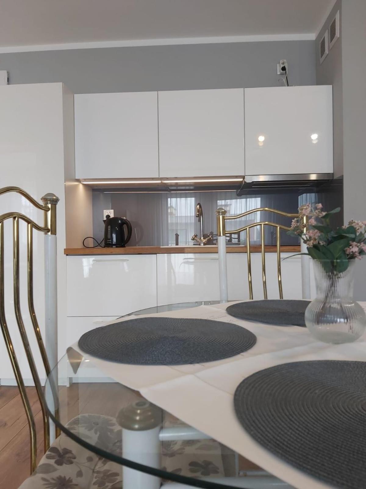 Apartament Jarzebina コウォブジェク エクステリア 写真